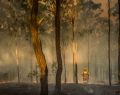 Australia rallies as devastating bushfires continue